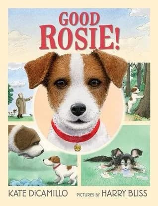 Cover of Good Rosie! by Kate DiCamillo