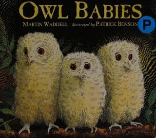 Cover of Owl Babies by Martin Waddell