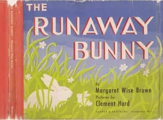 Cover of The Runaway Bunny by Margaret Wise Brown